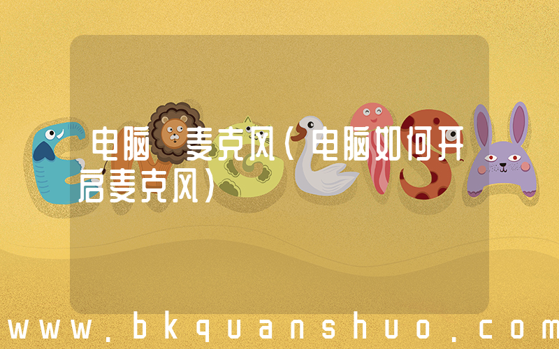 电脑 麦克风(电脑如何开启麦克风)
